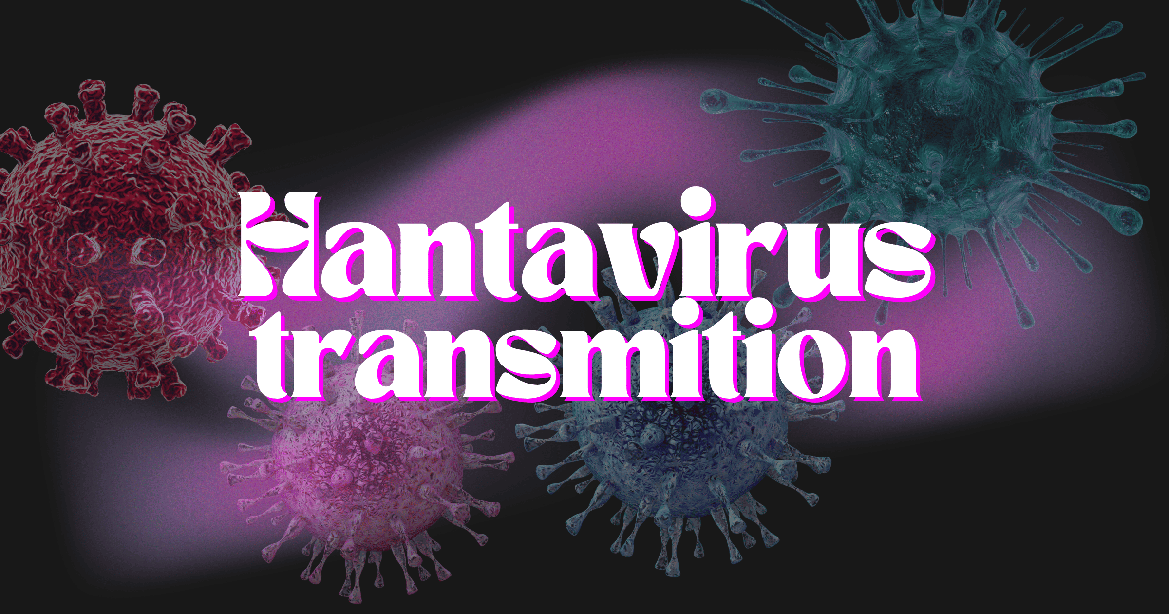 Hantavirus Transmission